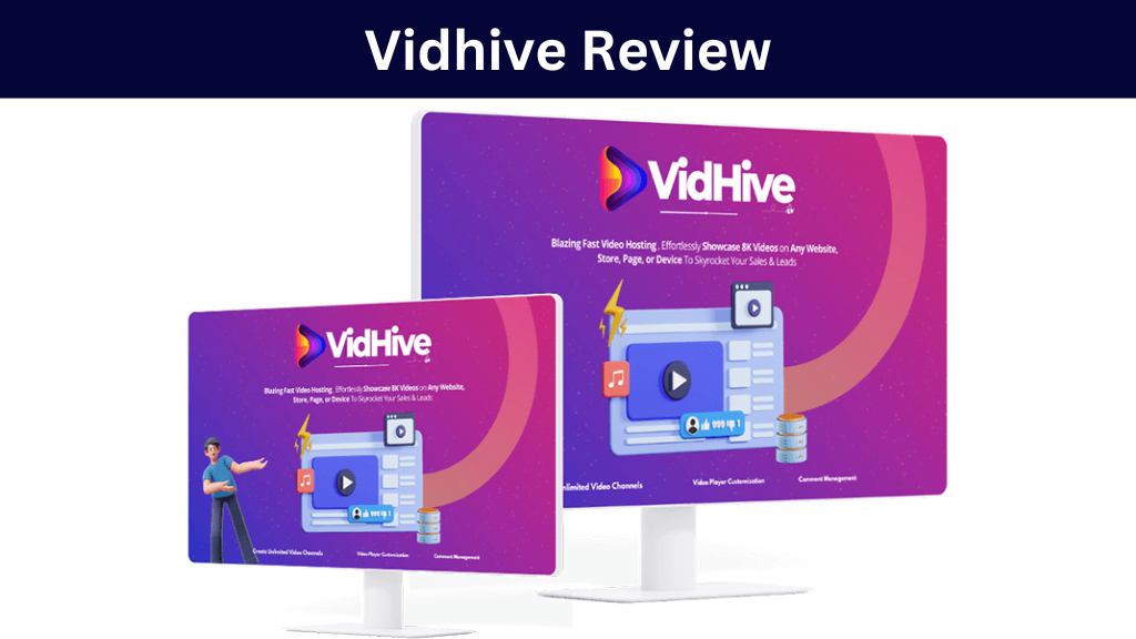 Vidhive Review