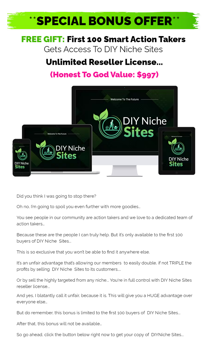 DIY Niche Sites Review